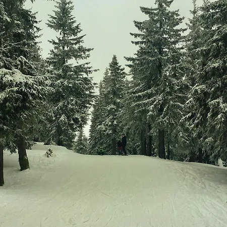Проживание в семье Pokoje Goscinne Pod Sosnami