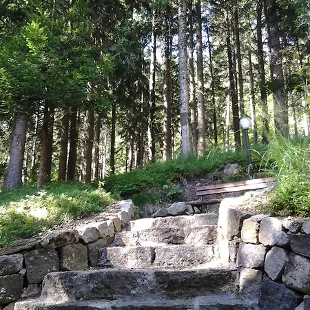 Homestay Goscinne Pod Sosnami
