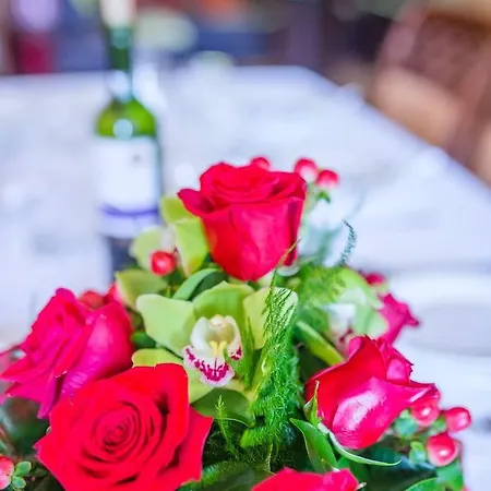 Pokoje Goscinne Pod Sosnami * Карпач