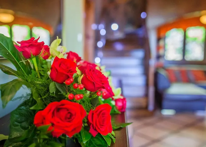 Pokoje Goscinne Pod Sosnami Privat bolig *