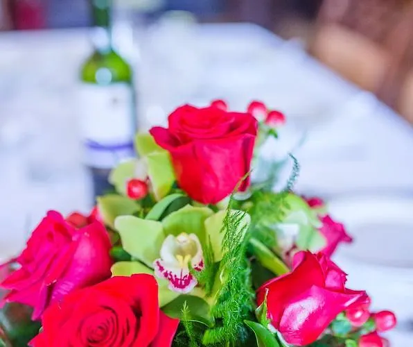 Pokoje Goscinne Pod Sosnami * Karpacz