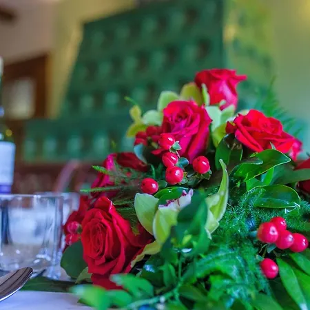 Pokoje Goscinne Pod Sosnami