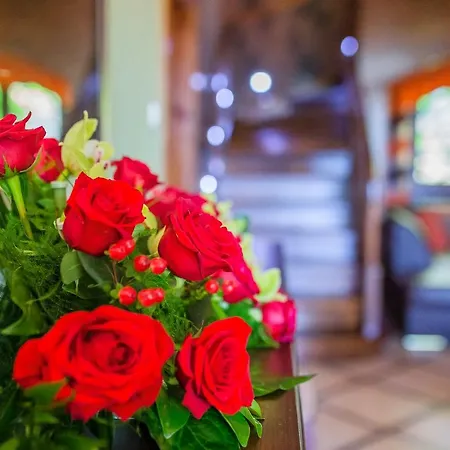 Pokoje Gościnne Pod Sosnami Kwatera prywatna *