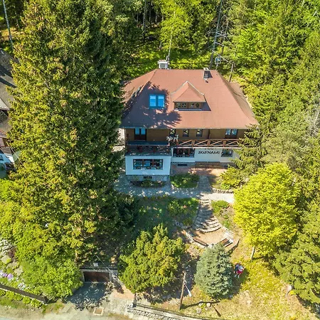 Pokoje Goscinne Pod Sosnami 카르파츠