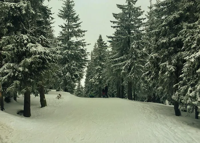 Privatunterkunft Pokoje Goscinne Pod Sosnami